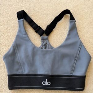 ALO Yoga Charcoal and Ebony Sports Bra